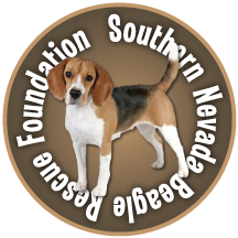 Southern Nevada Beagle Rescue Foundation
