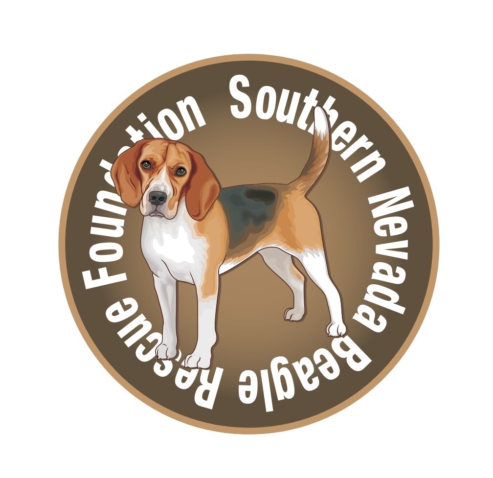 Southern Nevada Beagle Rescue Foundation